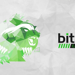 BitB Cash PioSolver Masterclass